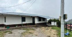 OPORTUNIDAD AGROINDUSTRIAL: FINCA AGUACATERA EN PRODUCCIÓN