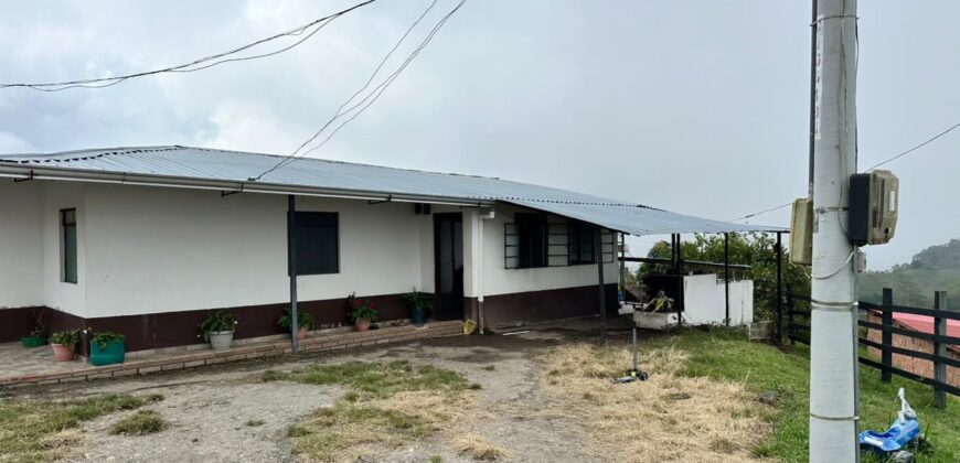 OPORTUNIDAD AGROINDUSTRIAL: FINCA AGUACATERA EN PRODUCCIÓN